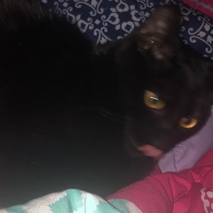 Meet your Posher, Emma